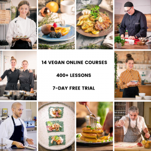 veecoco the best vegan online cooking courses