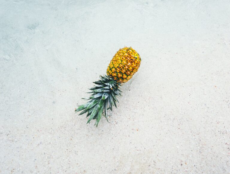 pineapple floating in the sea