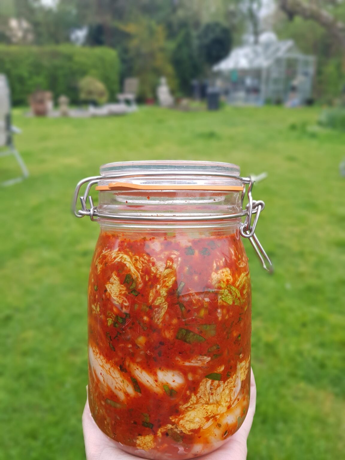 A jar of fermented kimchi (probiotics) with a green garden in the background