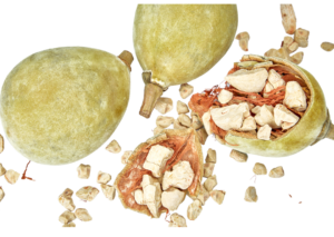 A few baobab fruit, some whole and some cracked open, revealing the seeds
