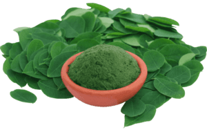 A bowl of vegan superfood moringa, surrounded by moringa leaves