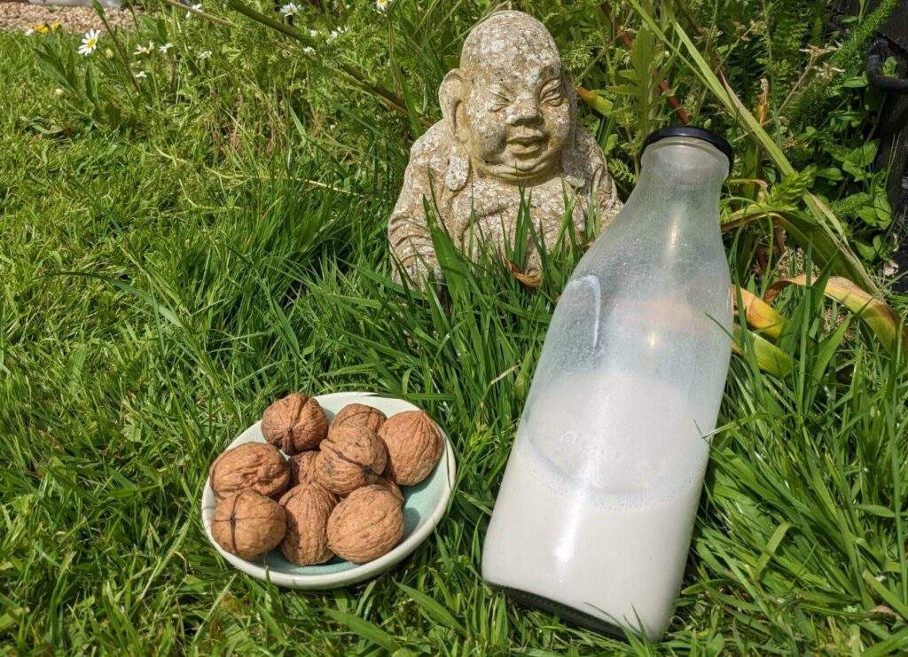 A statue of Buddha is sat amongst grass and wildflowers. In front of him is a bottle of freshly made cashew milk made using a nut milk maker. There is a bowl of walnuts next to the bottle.