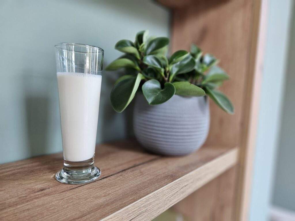 Homemade nut milk in a glass on a shelf next to a plant in a pot